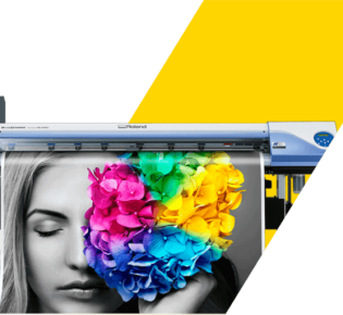 Увлекательный мир звуков животных: познакомим детей с природой