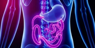 Appendicite et Stress : Existe-t-il un Lien ?