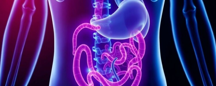 Appendicite et Stress : Existe-t-il un Lien ?