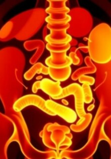 Appendizitis bei älteren Menschen: cursos atípicos que desafían la tradición
