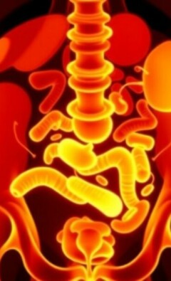 Appendizitis bei älteren Menschen: cursos atípicos que desafían la tradición