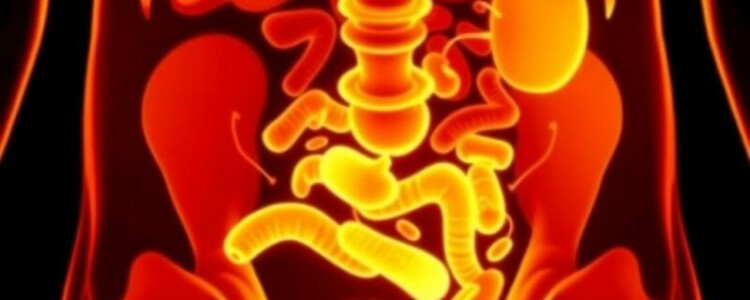 Appendizitis bei älteren Menschen: cursos atípicos que desafían la tradición