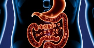 Antibiotic Therapy Alone for Uncomplicated Appendicitis: ¿Una opción viable?