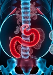 Telemedicine for Appendicitis Consultation: A Modern Approach to Emergency Care