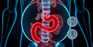 Telemedicine for Appendicitis Consultation: A Modern Approach to Emergency Care