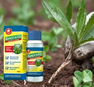 Молочнокислый ацидоз: что это и как с ним бороться