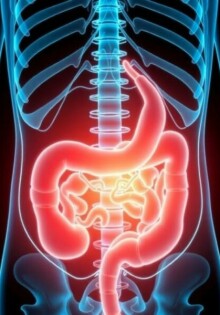 Vivir sin apéndice: ¿qué le ocurre a tu cuerpo a largo plazo?