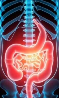 Vivir sin apéndice: ¿qué le ocurre a tu cuerpo a largo plazo?
