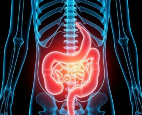 Vivir sin apéndice: ¿qué le ocurre a tu cuerpo a largo plazo?