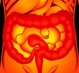 El papel de la puntuación de Alvarado en el diagnóstico de la apendicitis