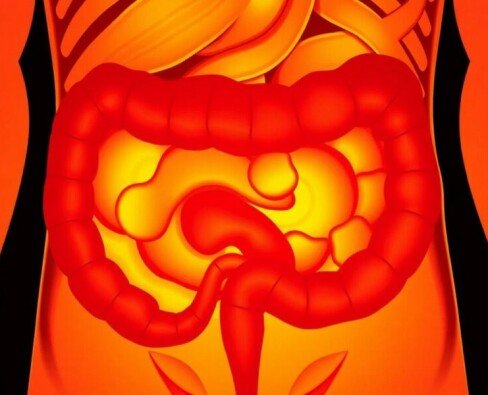 El papel de la puntuación de Alvarado en el diagnóstico de la apendicitis