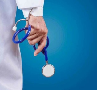 Ящерки: удивительные создания под солнечными лучами