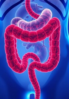 Die Auswirkung einer Appendektomie auf das Darmmikrobiom: ¿qué ocurre cuando eliminamos el pequeño gran apéndice?