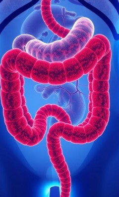 Die Auswirkung einer Appendektomie auf das Darmmikrobiom: ¿qué ocurre cuando eliminamos el pequeño gran apéndice?