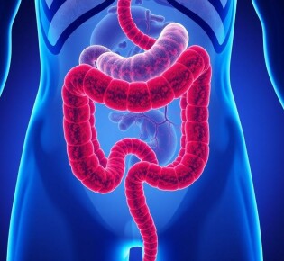 Die Auswirkung einer Appendektomie auf das Darmmikrobiom: ¿qué ocurre cuando eliminamos el pequeño gran apéndice?