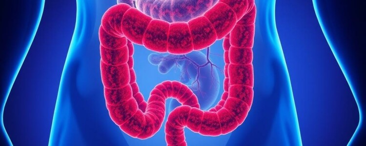 Die Auswirkung einer Appendektomie auf das Darmmikrobiom: ¿qué ocurre cuando eliminamos el pequeño gran apéndice?