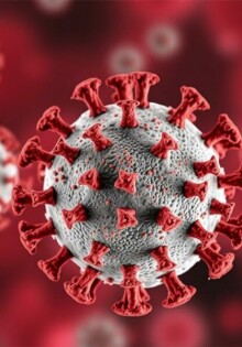 El papel de las infecciones virales en el desencadenamiento de enfermedades: una mirada cercana y conversacional