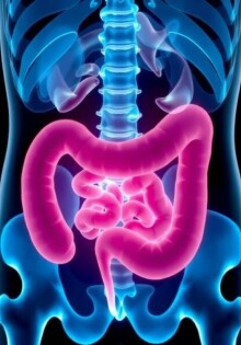 Apendicitis en niños en edad escolar: cómo reconocerla, entenderla y actuar a tiempo
