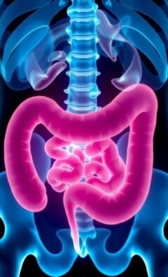 Apendicitis en niños en edad escolar: cómo reconocerla, entenderla y actuar a tiempo