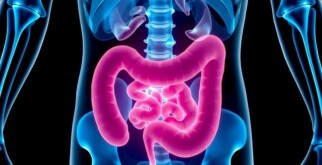 Apendicitis en niños en edad escolar: cómo reconocerla, entenderla y actuar a tiempo