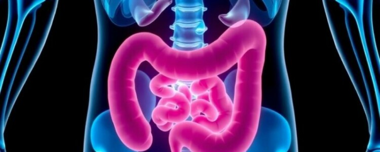 Apendicitis en niños en edad escolar: cómo reconocerla, entenderla y actuar a tiempo