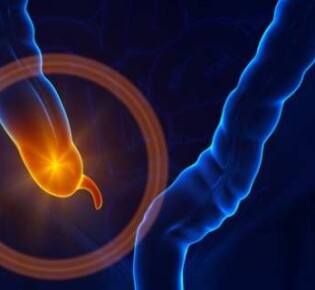 Процесс кровоснабжения аппендикса и его иннервация