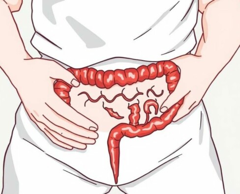 Cuando el vientre habla alto: L’appendicite comme motif fréquent de consultation aux urgences