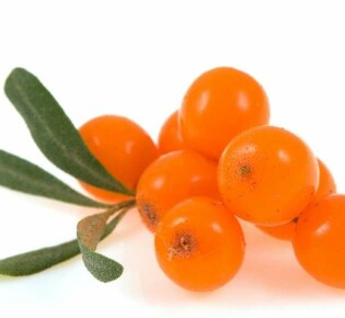 Использование облепиховых свечей при геморрое