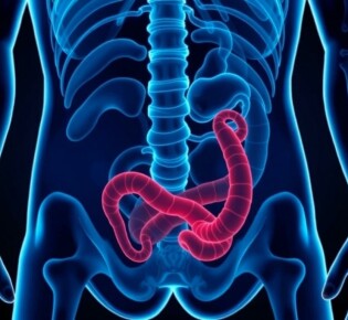 Apéndice en movimiento: apendicitis en deportistas, retos diagnósticos y protocolos seguros para volver a la competición