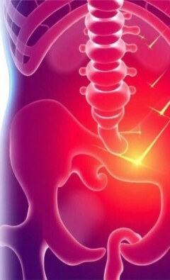 Understanding CRP Levels in Appendicitis: What They Reveal About Your Health