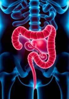 Aktuelle Forschung zur Appendizitis: lo que la ciencia nos está contando ahora