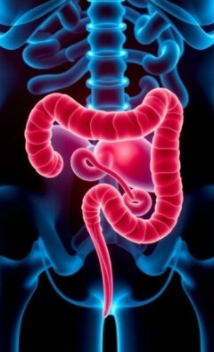 Aktuelle Forschung zur Appendizitis: lo que la ciencia nos está contando ahora