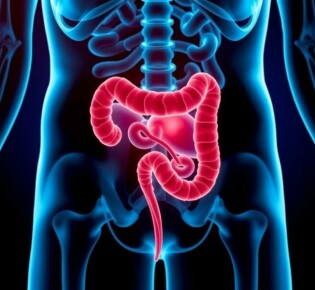 Aktuelle Forschung zur Appendizitis: lo que la ciencia nos está contando ahora