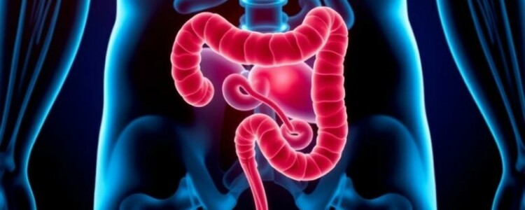 Aktuelle Forschung zur Appendizitis: lo que la ciencia nos está contando ahora