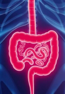 Was ist eine Blinddarmentzündung? Symptome und Ursachen im Detail erklärt