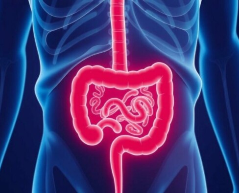 Was ist eine Blinddarmentzündung? Symptome und Ursachen im Detail erklärt