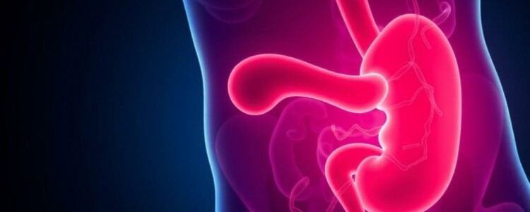 Understanding Appendicitis and Chemotherapy: What Patients Need to Know