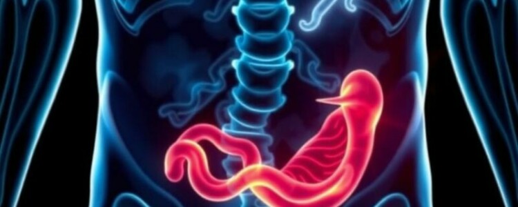 Understanding Appendicitis and Fever: Causes, Symptoms, and When to Seek Help