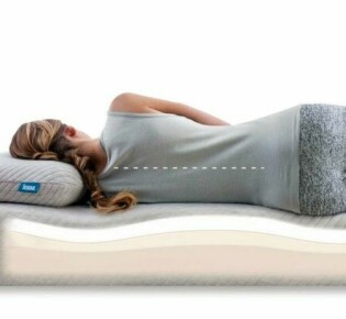 Древесная аброния: Загадочный мир легких «древесных» ящериц