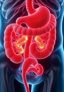 Blinddarm und Immunsystem: Wichtige Funktion oder überflüssiges Organ?