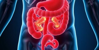 Blinddarm und Immunsystem: Wichtige Funktion oder überflüssiges Organ?