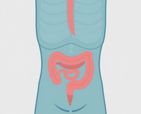 Cómo crear una hoja informativa sobre apendicitis para escuelas: guía práctica y lista de verificación
