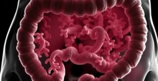 Das Mikrobiom des Appendix: Ein unterschätztes Ökosystem im menschlichen Körper