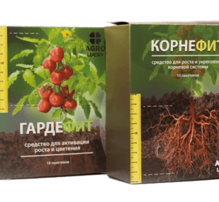 Асцит: что за заболевание и как его лечить