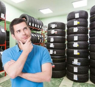 Топир: Невероятный мир удивительных существ