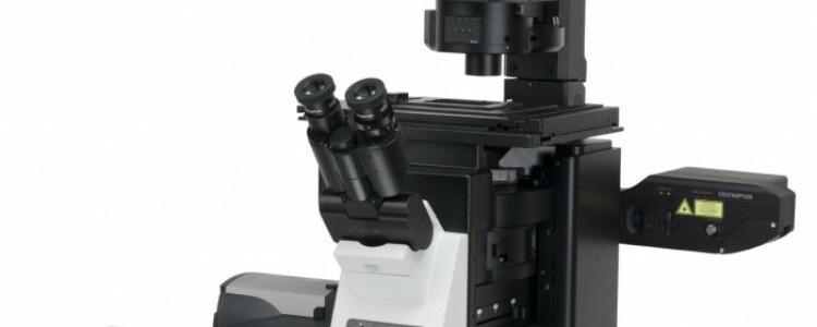 Флуоресцентные микроскопы – особенности и принцип работы