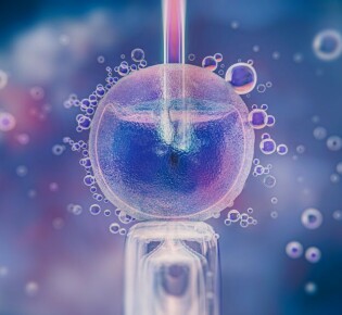 Стоимость ЭКО: что важно знать перед процедурой