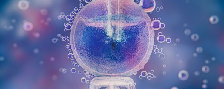 Стоимость ЭКО: что важно знать перед процедурой