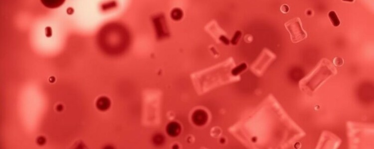 Sepsis o septicemia: una complicación grave que hay que conocer