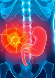 Das Leitsymptom: Bauchschmerzen bei Appendizitis — ¿Por qué este dolor merece toda tu atención?